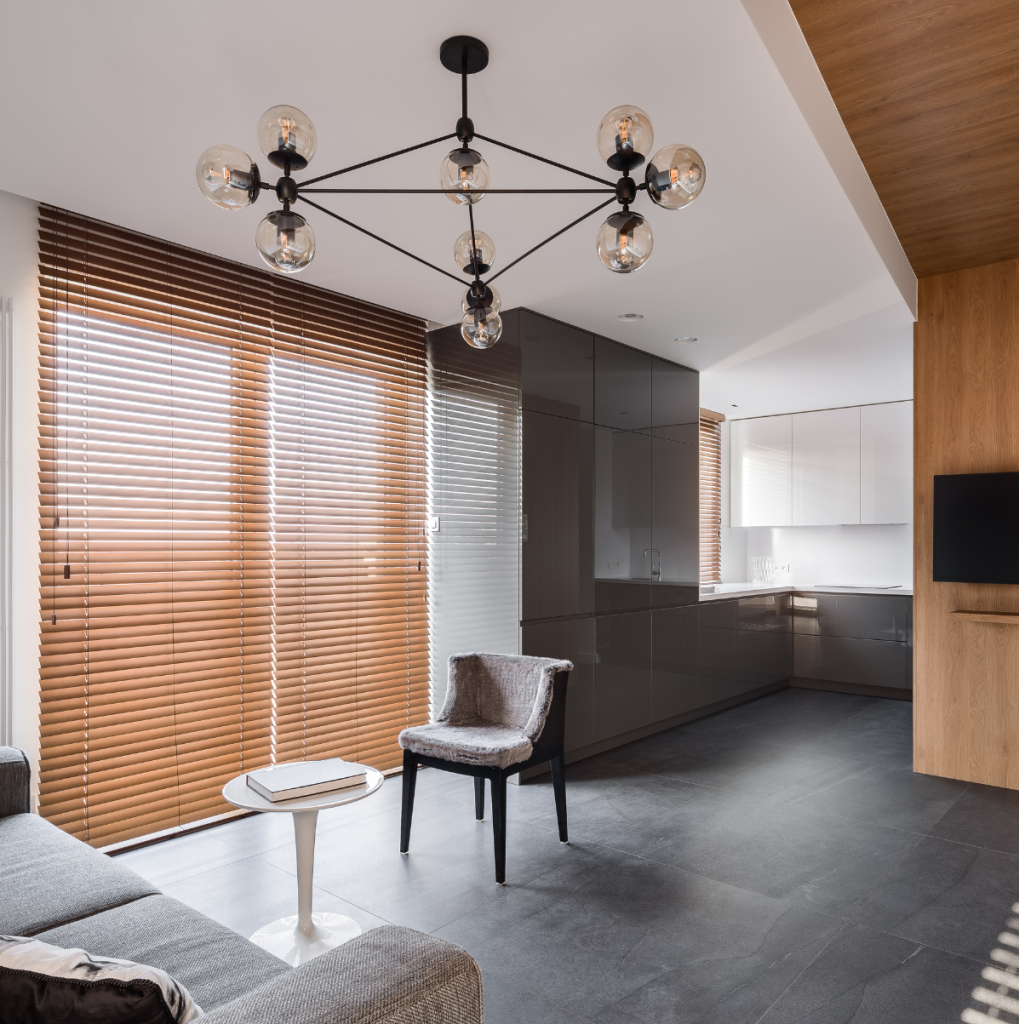 zebra blinds in living room